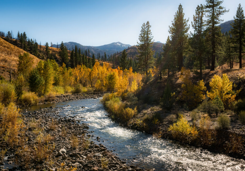 High Sierra fall colors next to a running river