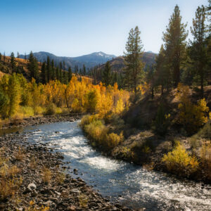 Where To See Fall Colors In Lake Tahoe