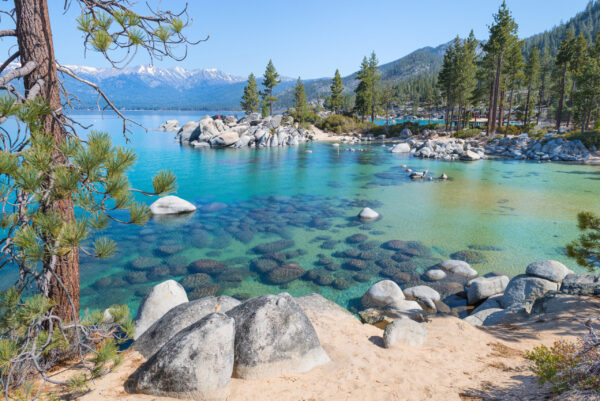 Beautiful blue clear water on the shore of the lake Tahoe
