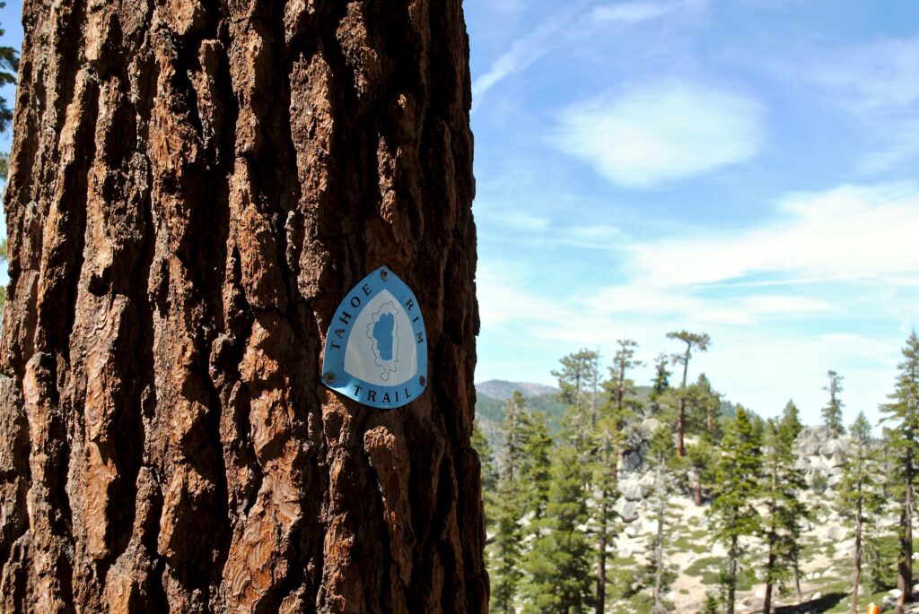 Tahoe Rim Trail marker on a tree.
